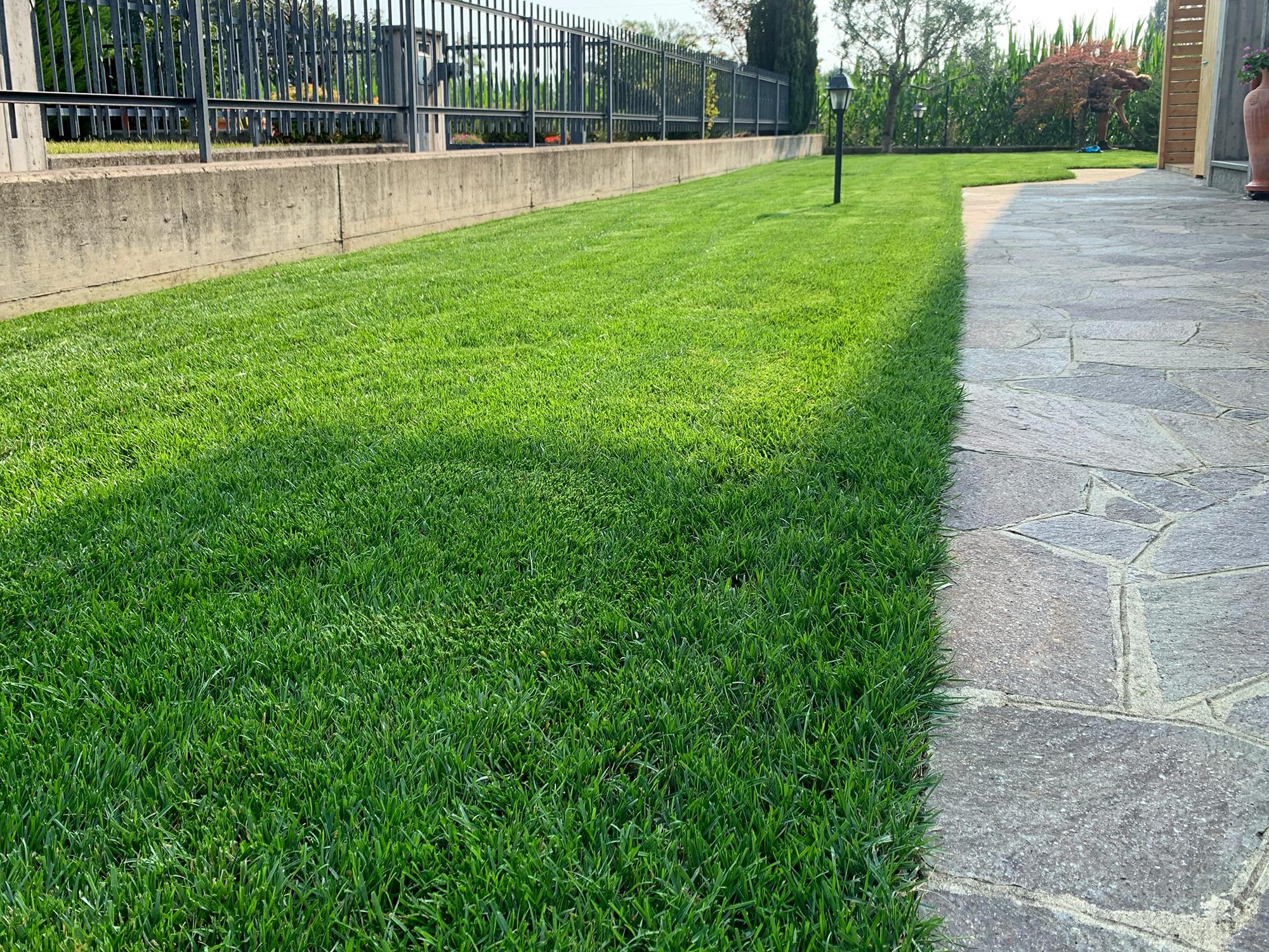 Posa giardino sintetico a Dalmine